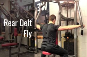 Rear Deltoid Machine Flyes