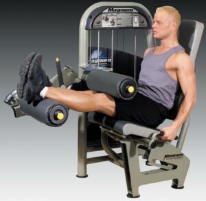  Seated Leg Curls