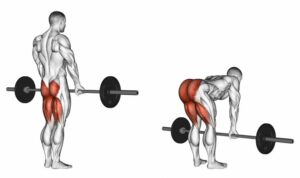 Bulgarian Split Squats: