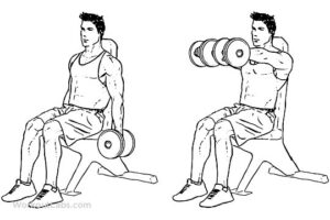 Seated Barbell Front Raise