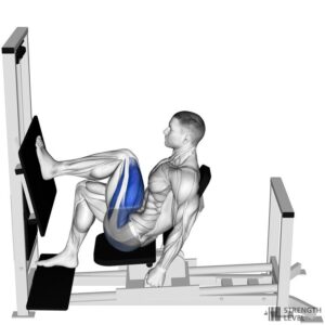 Single-Leg Press