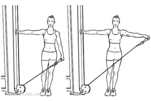 Cable Lateral Raises