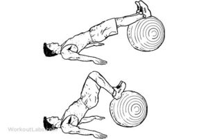 Swiss Ball Hamstring Curl