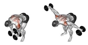 Bent-Over Lateral Raises